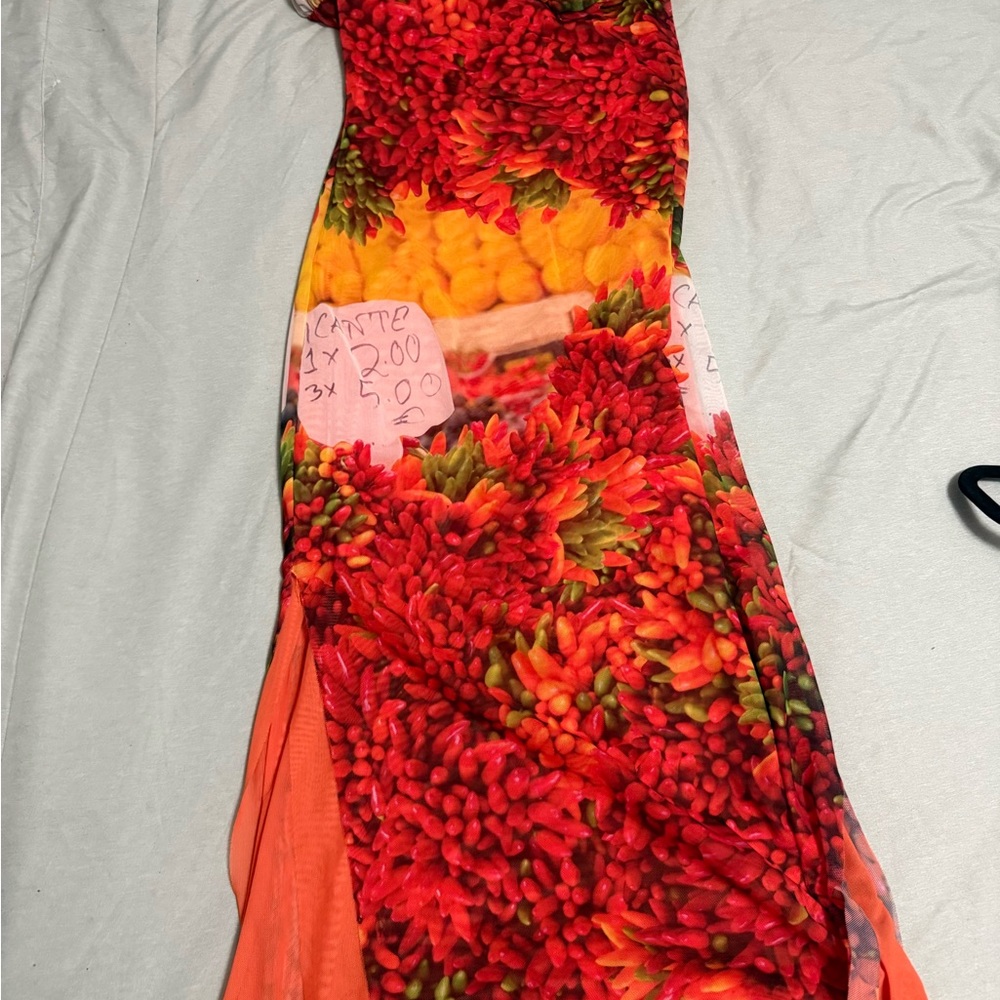 Zara Orange and Multicolor Mesh Dress - Picture 3 of 3